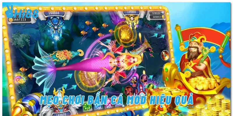 Game Bắn Cá Mod: Săn Cá Đỉnh Cao, Quà Tặng Hấp Dẫn image-1732709636077